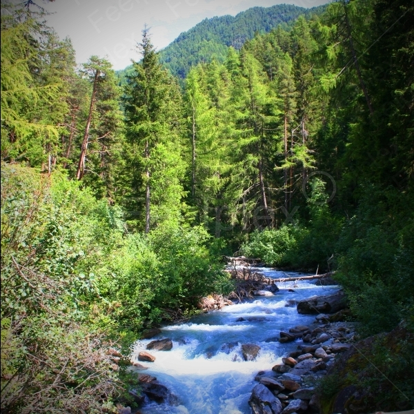 Wasserbach - Windache