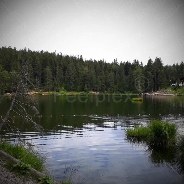 Möserer See