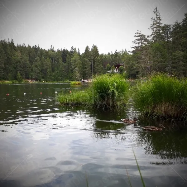 Lake Mösern