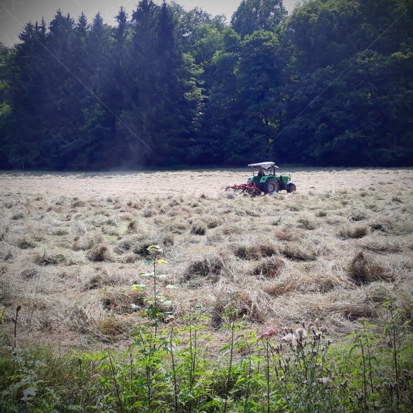 Traktor Kreiselheuer