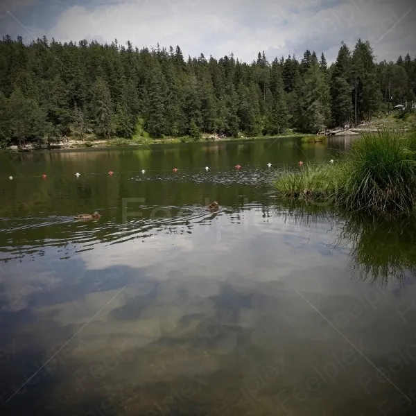Möserer See