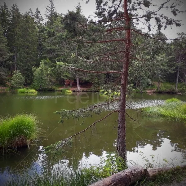 Möserer See