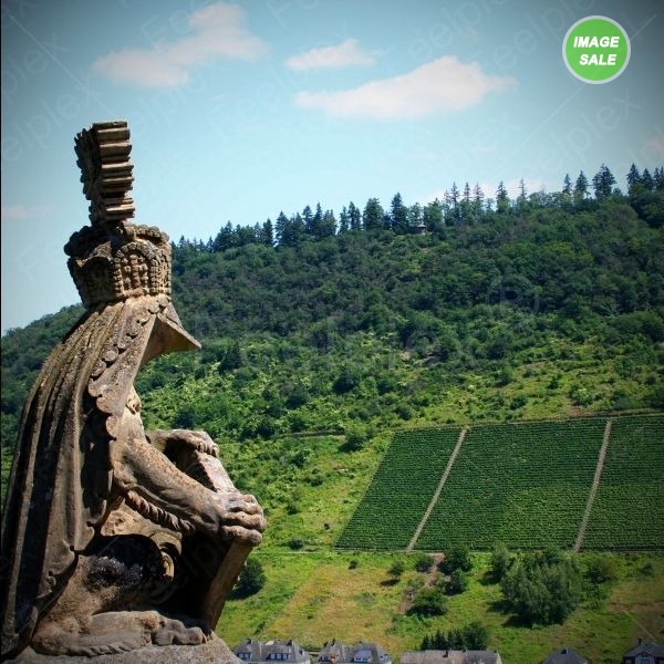 Die Reichsburg Cochem