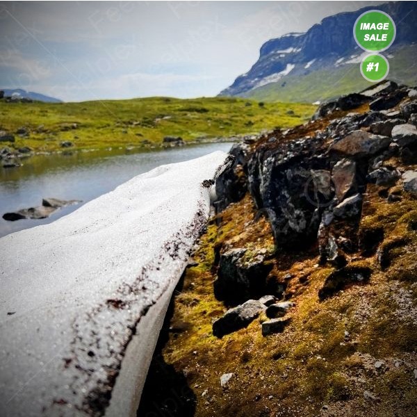 Schritte auf schmelzendem Schnee