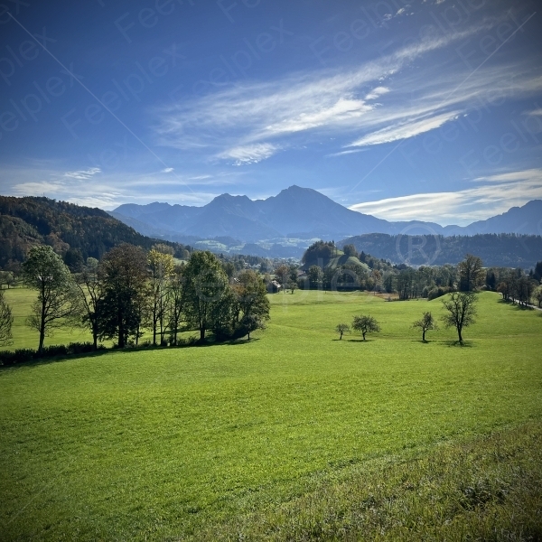 Naturstimmung aus Mayrwinkl