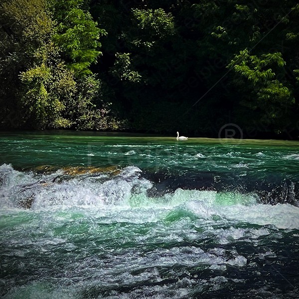 Wasserwirbel am Rheinfall
