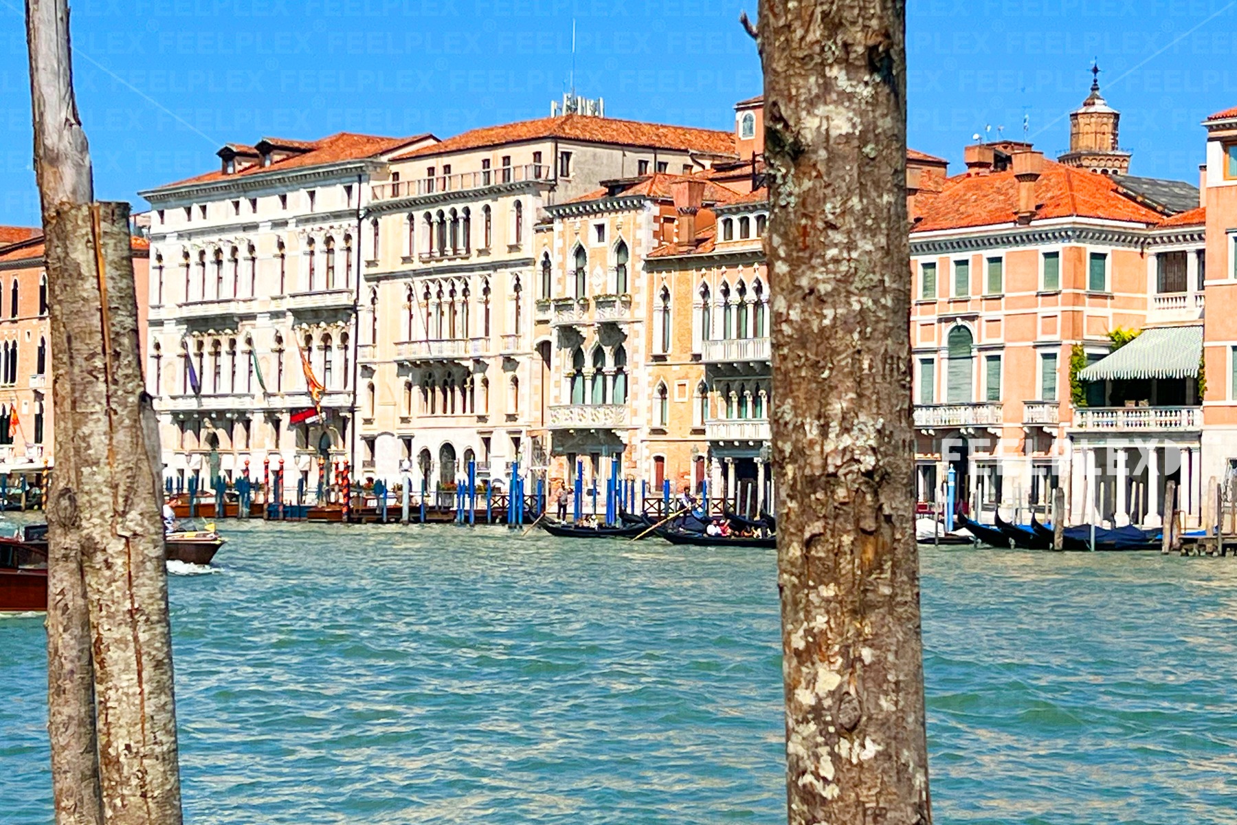 Canal Crossing on the Grand Canal
