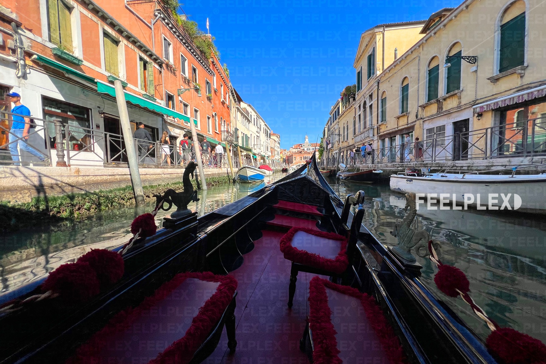 Cozy Canal Ride in Venice