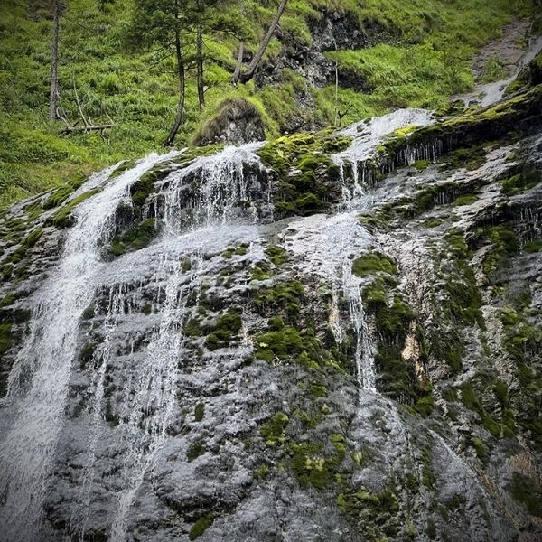 Schleierklang - Wasserrauschen am moosigen Pfad