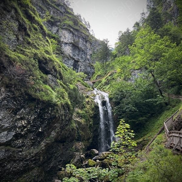 Wasserfall Gesäuse - Klang am Palfauer Wasseloch