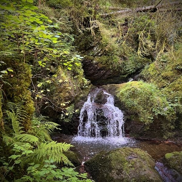 Schluchtklang Schwarzwald – Lotenbachklamm