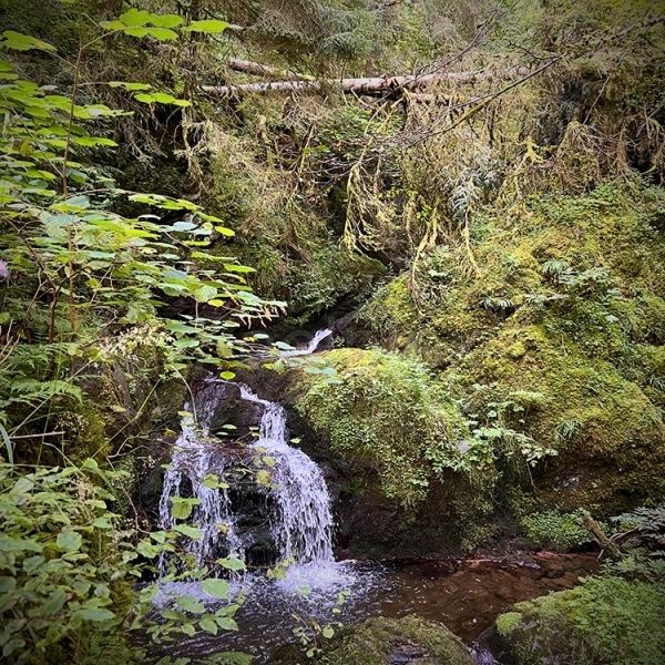 Schluchtklang Schwarzwald – Lotenbachklamm