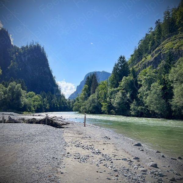 Flussmoment Enns – Klang am Weidendom