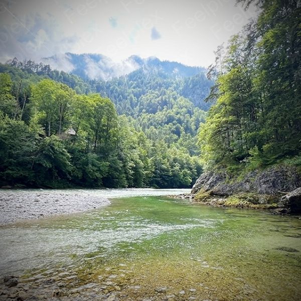 Salzafluss – Klang des smaragdgrünen Gebirgswassers