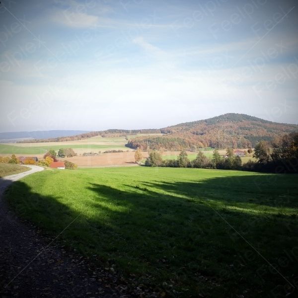 Morgen auf dem Land