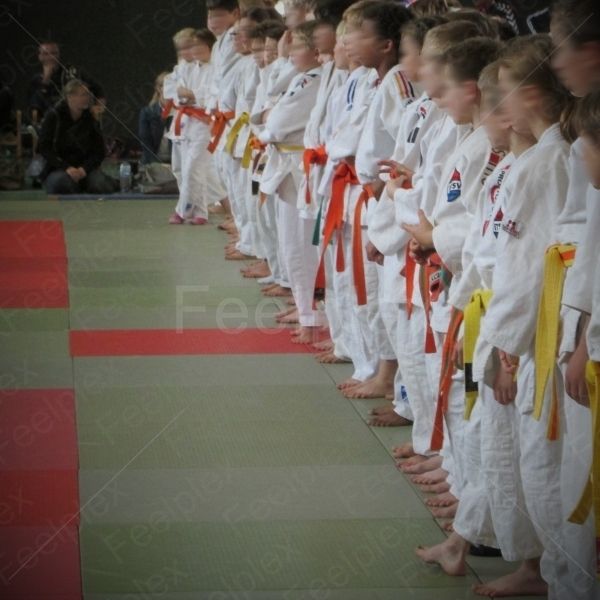 Judo-Turnier