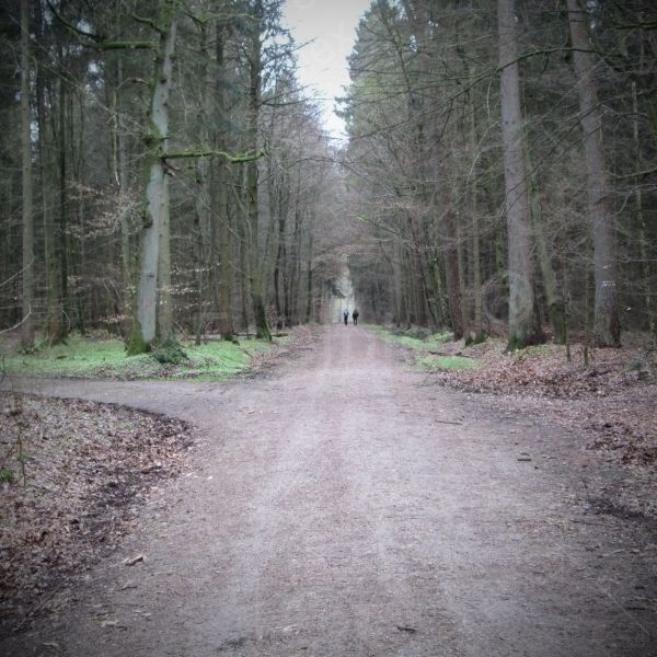 Wildpark Uhlenkolk