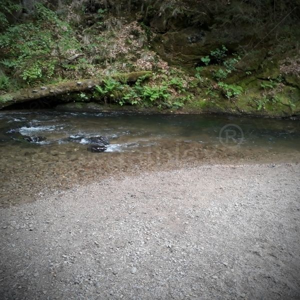 Fluss Kirnitzsch
