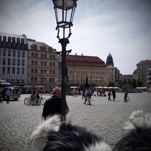 Altstadt Dresden