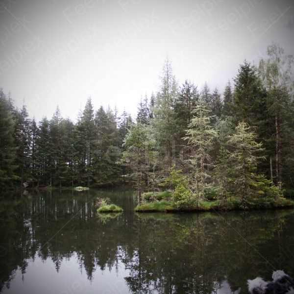 Winkelbergsee