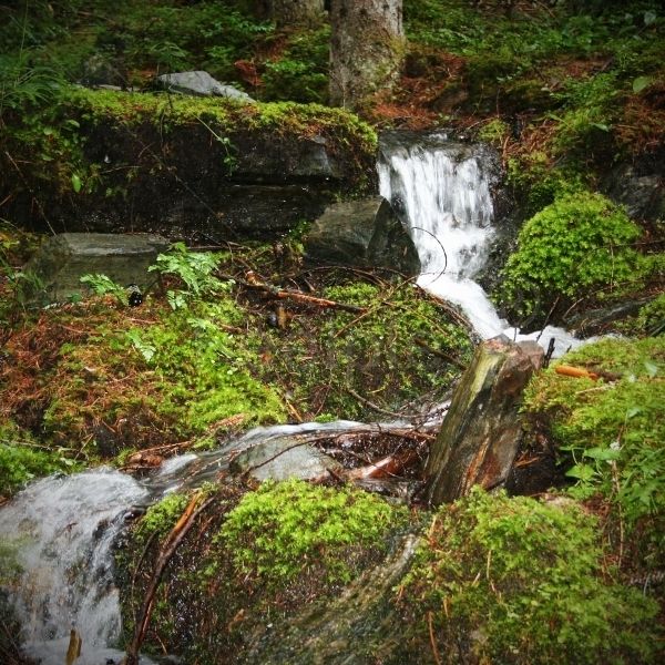 Wasserbach am Winkelbergsee
