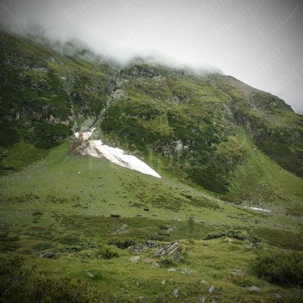 Klänge von Wind und Weide