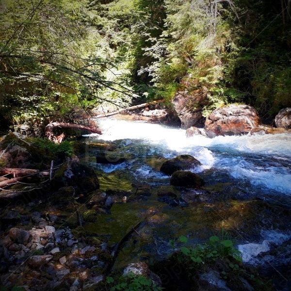 Untertalbach - Schladming