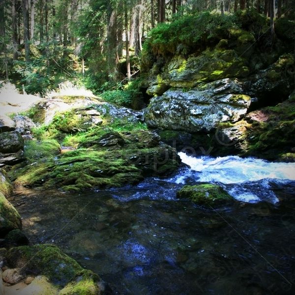 Untertalbach