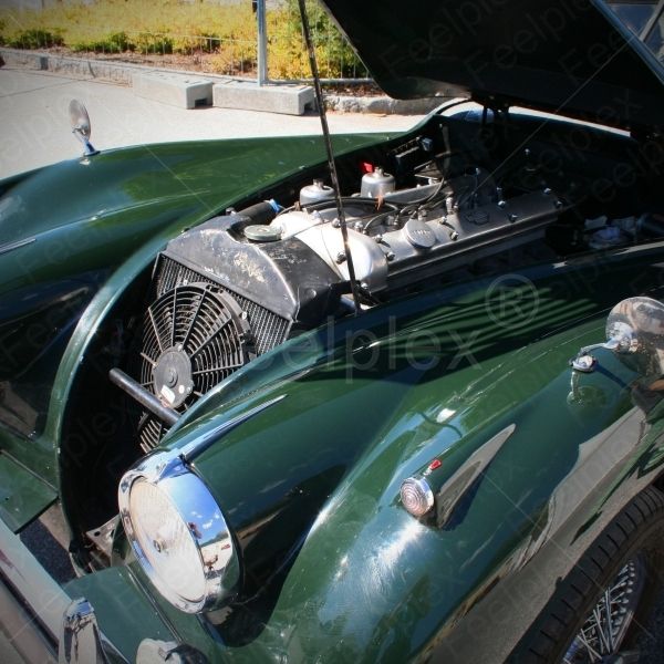 Jaguar XK 140 DHC - 1955
