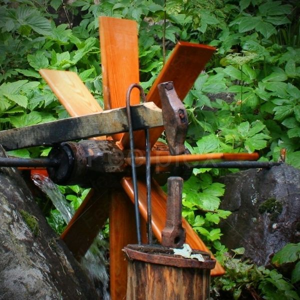 Schwanzhammer/Fallhammer