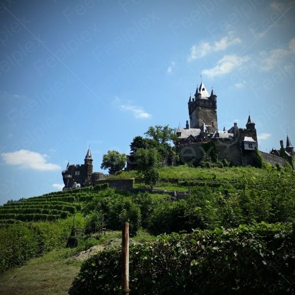 Die Reichsburg Cochem