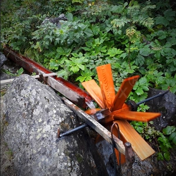 Schwanzhammer/Fallhammer