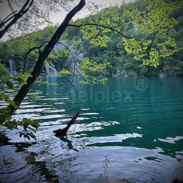 Vom Milanovac zum Gavanovac 