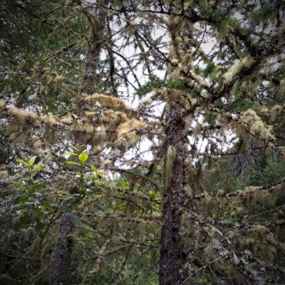 Umbalfälle - Hohe Tauern