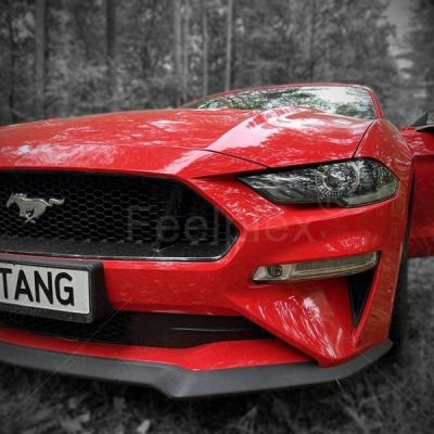 Freedom in Sound: Ford Mustang 5.0 GT V8 Cabrio