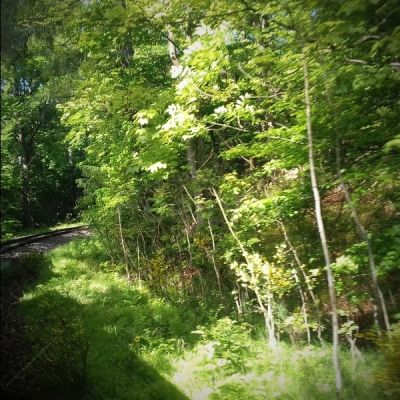 Fahrt mit Dampflokomotive