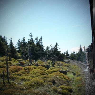 Dampflokomotivenfart