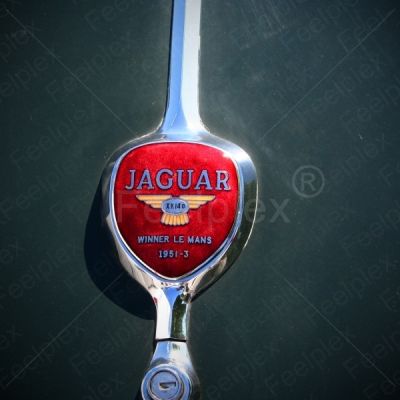 Jaguar XK 140 DHC – 1955