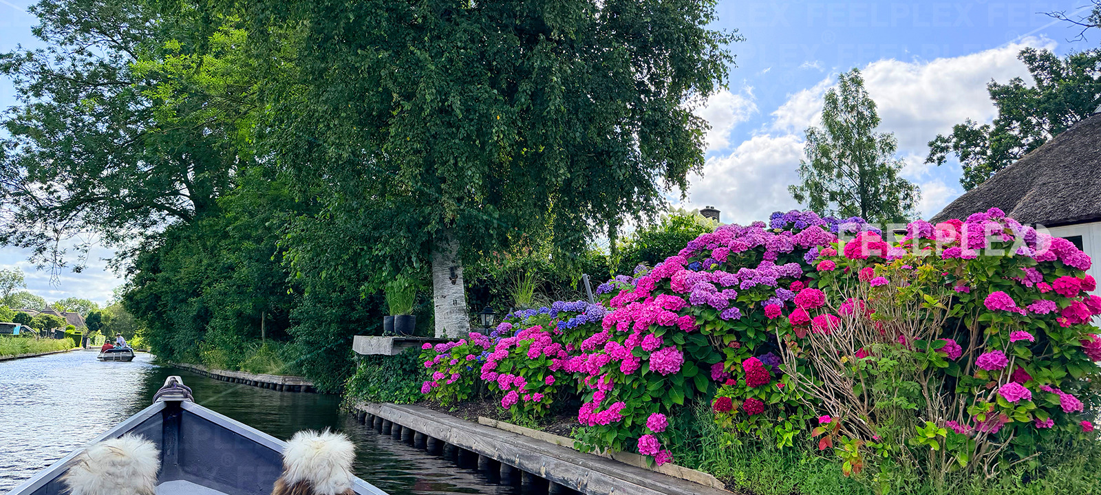 Giethoorn by Water