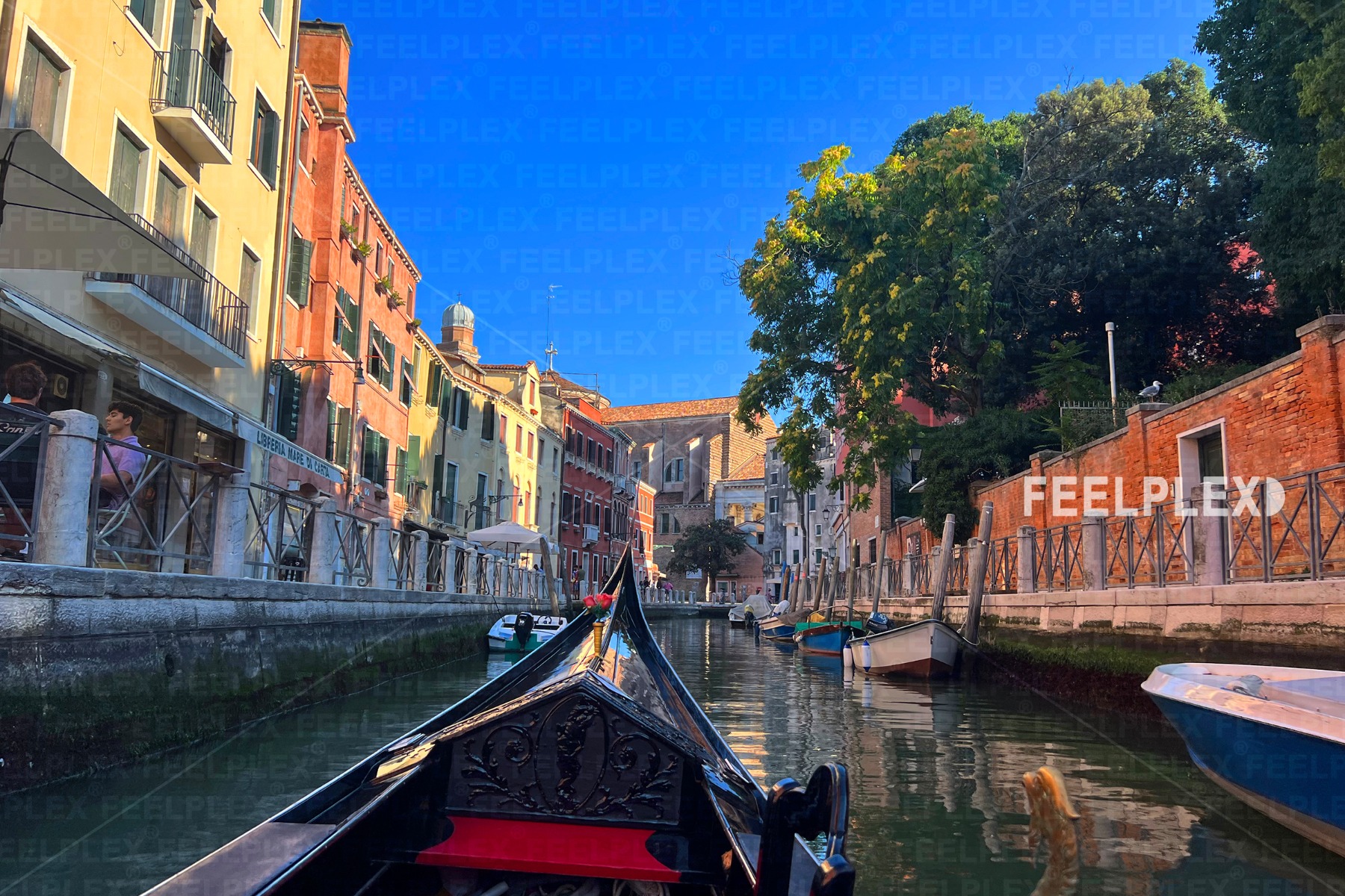 Gondola Ride Through Narrow Venice Canals