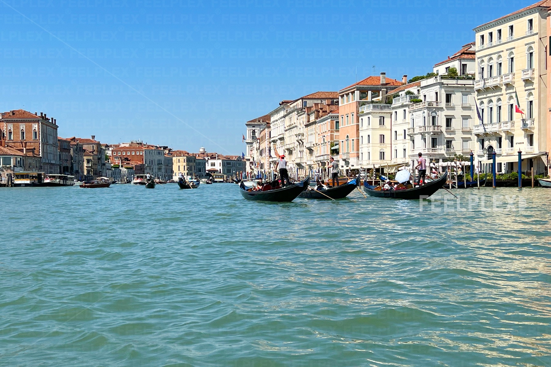 Lively Grand Canal View in Venice