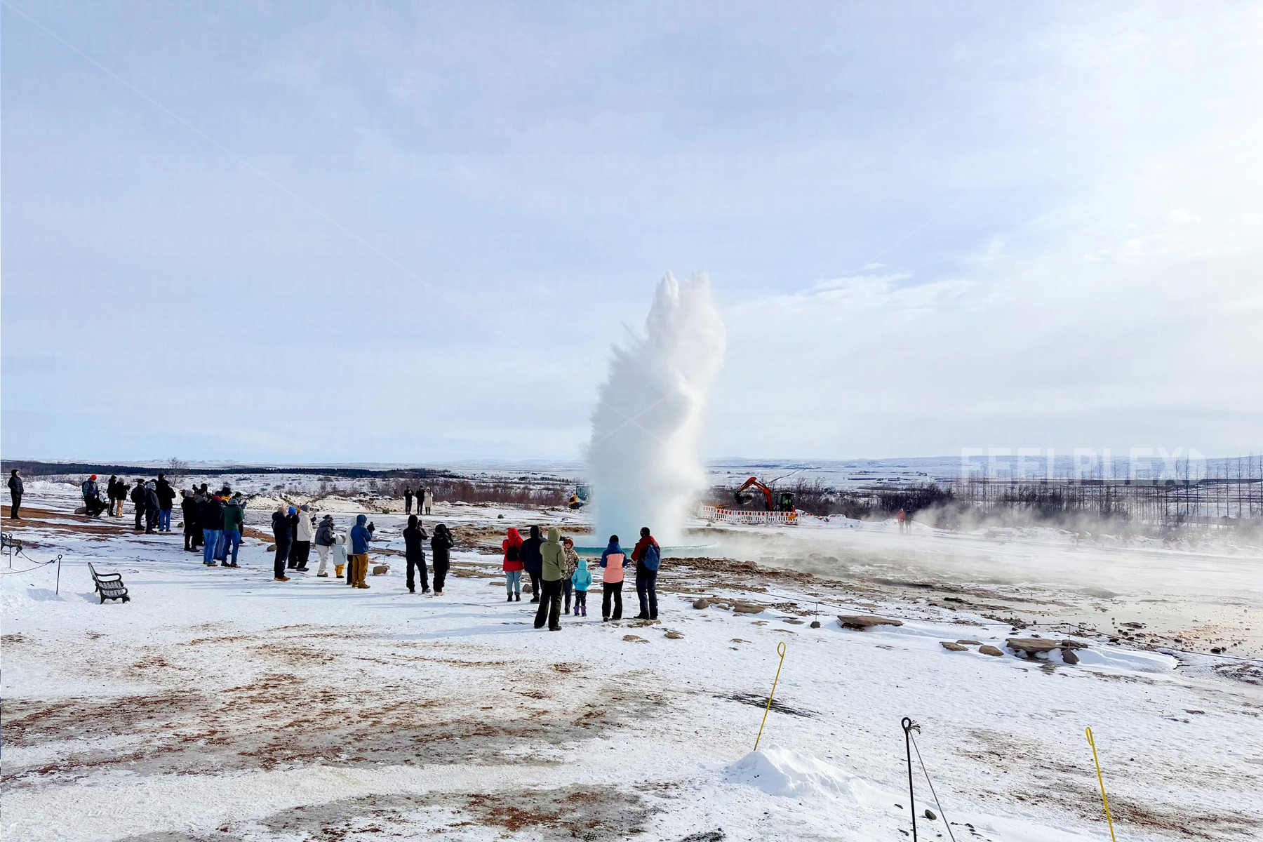 Ausbrechender Strokkur Geysir am Golden Circle in Island mit hoher Wasserfontäne