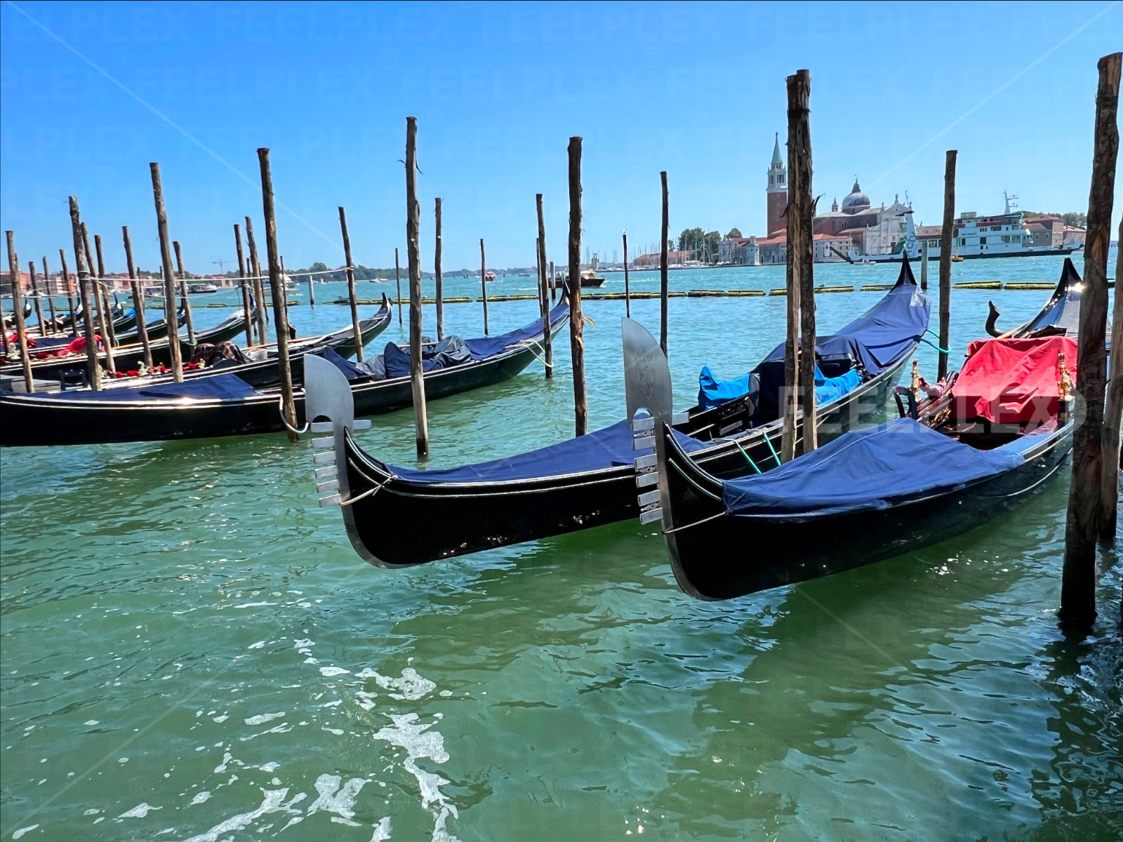 Sunny Gondola Leisure in Venice
