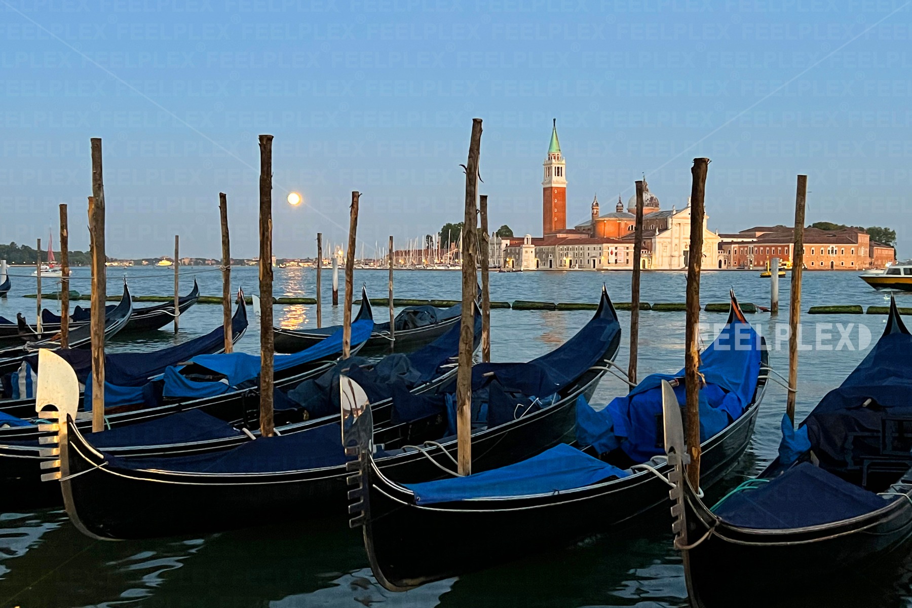 Sunset Gondolas on the Grand Canal