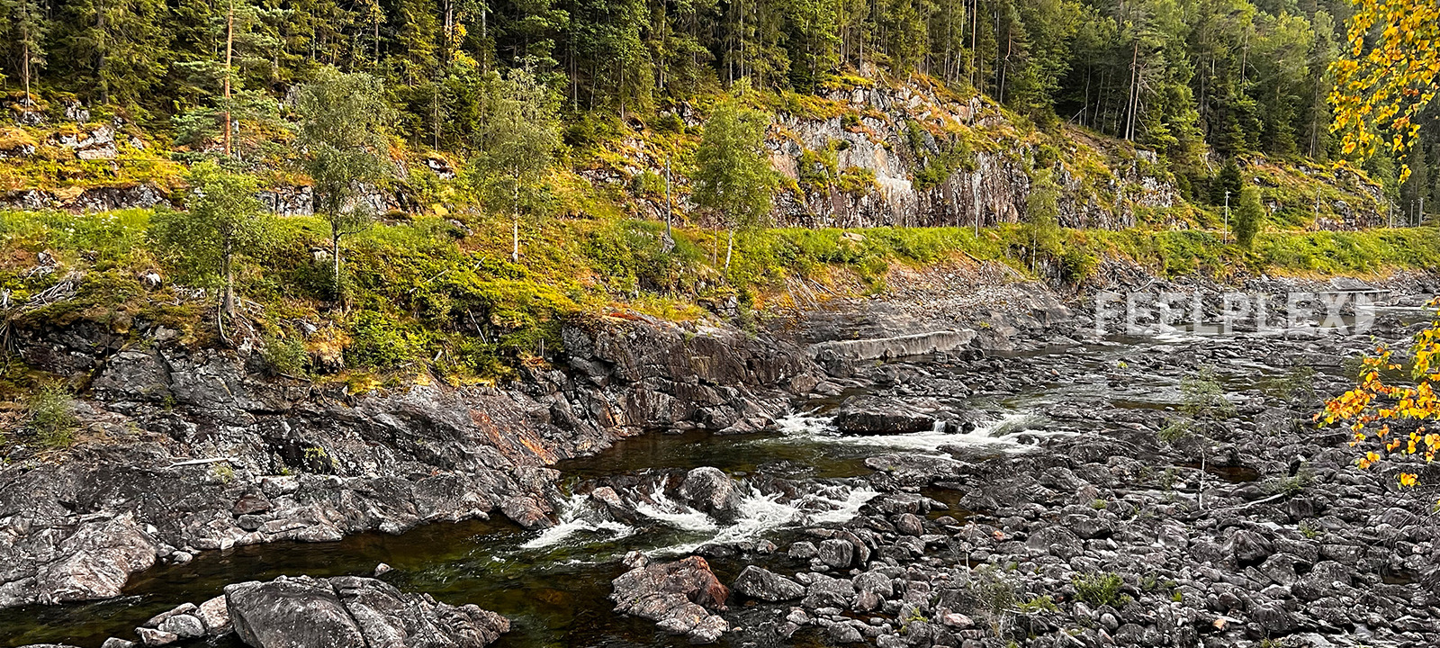 Tømmerrenna Norway | Sound Journey