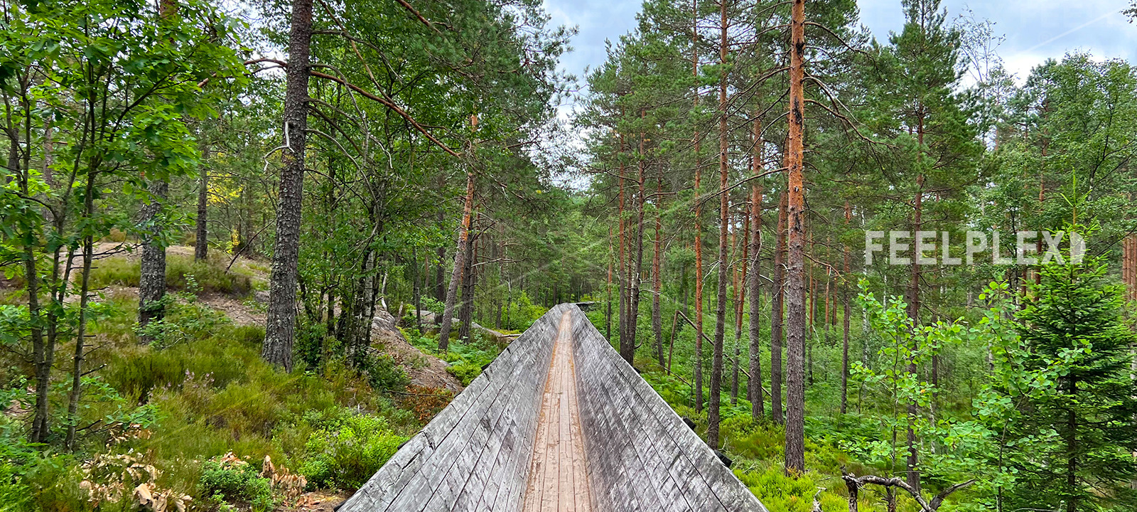 Tømmerrenna Norway | Sound Journey