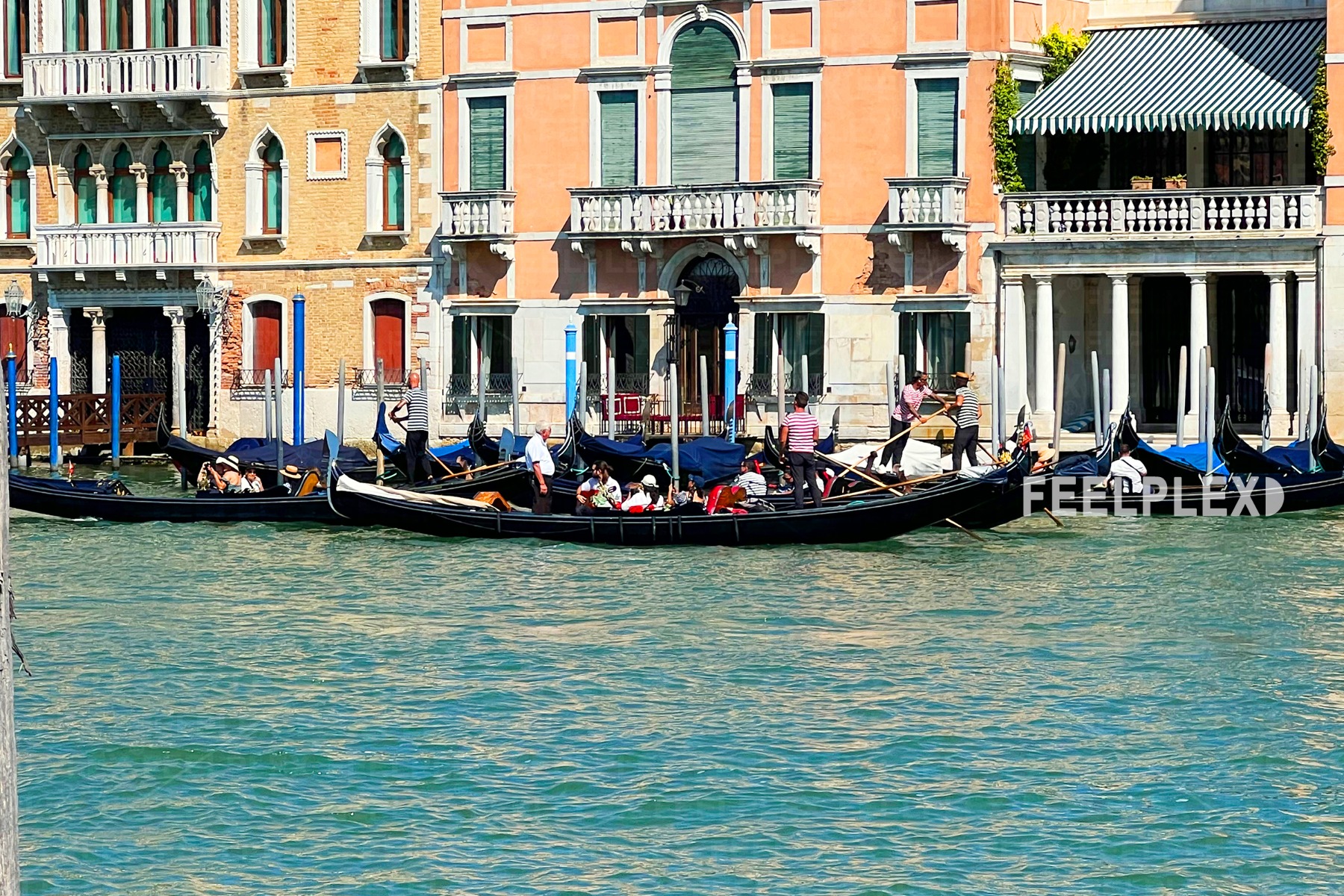 Venetian Elegance on the Grand Canal