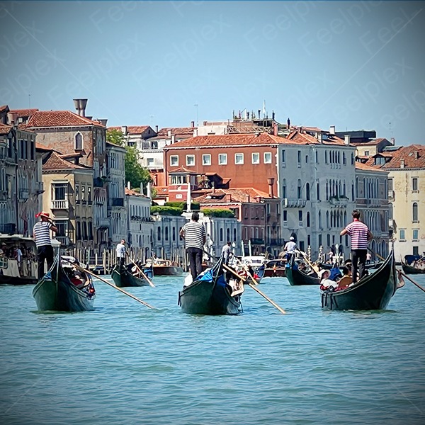 Lebendiger Canal-Klang an Santa Maria della Salute