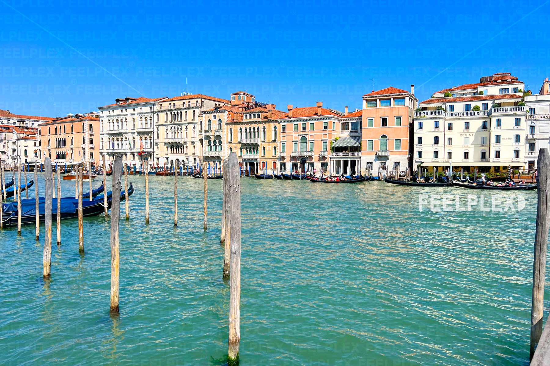 Venice Shoreline on the Grand Canal