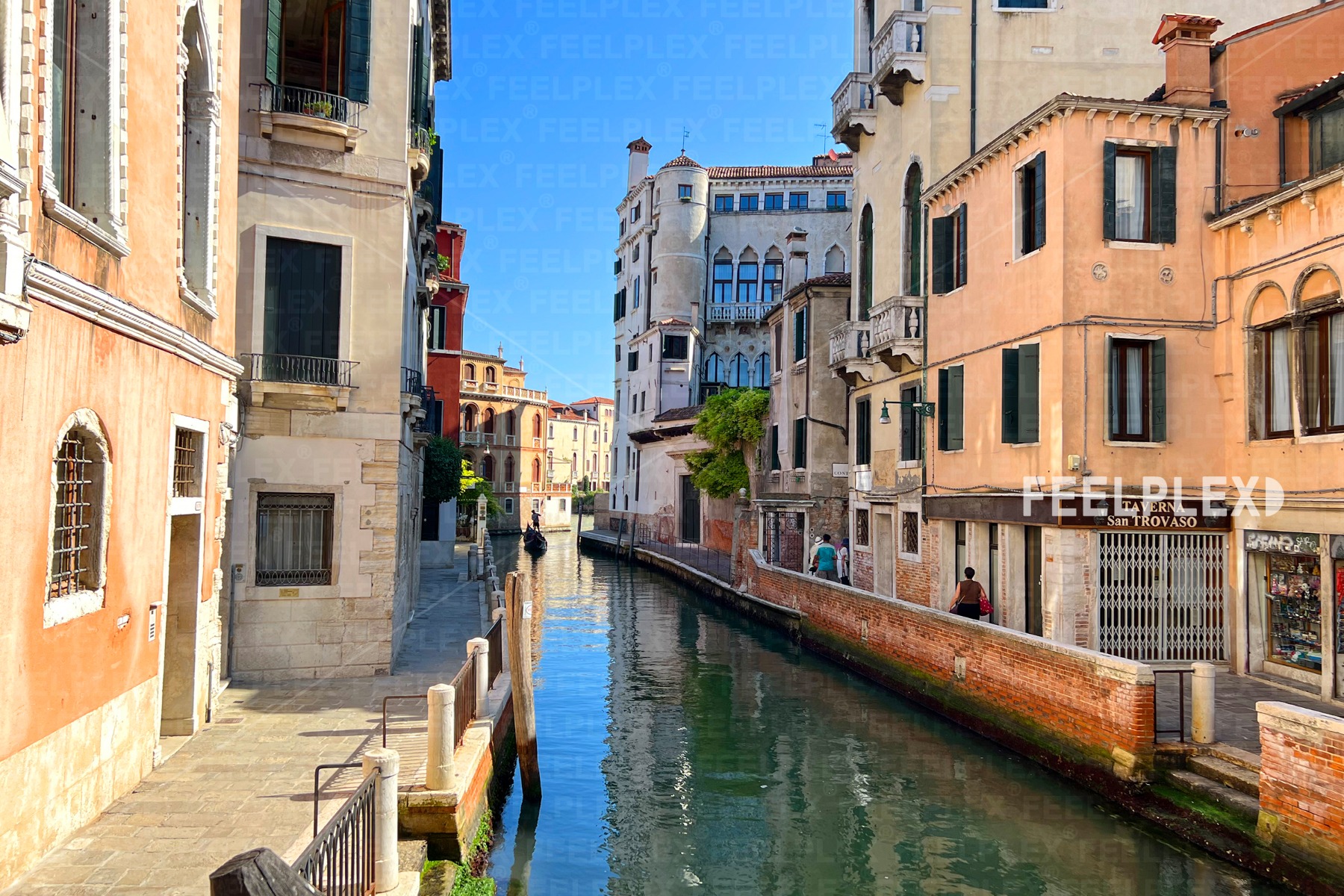 Guests and Gondolas in Venice